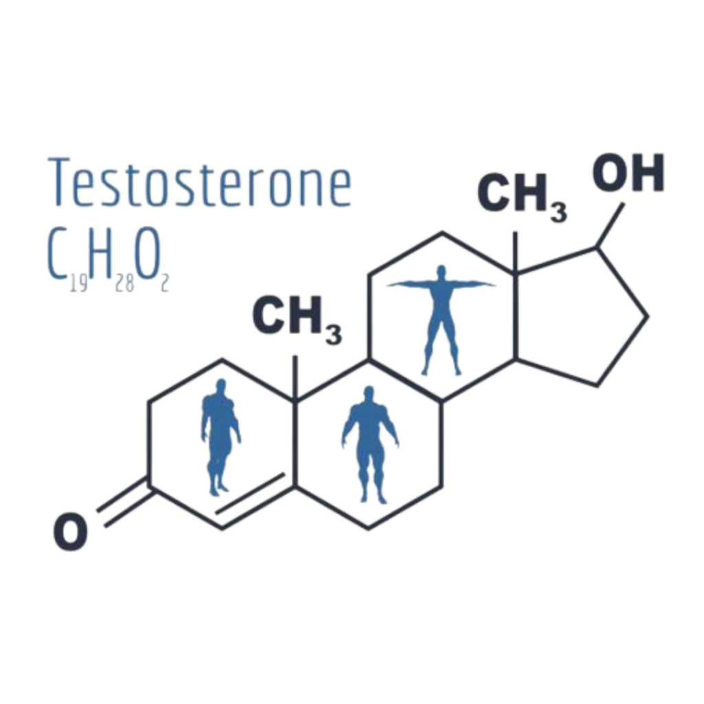 Low Testosterone: Discussing Options With Your Doctor