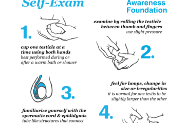 Testicular Exam