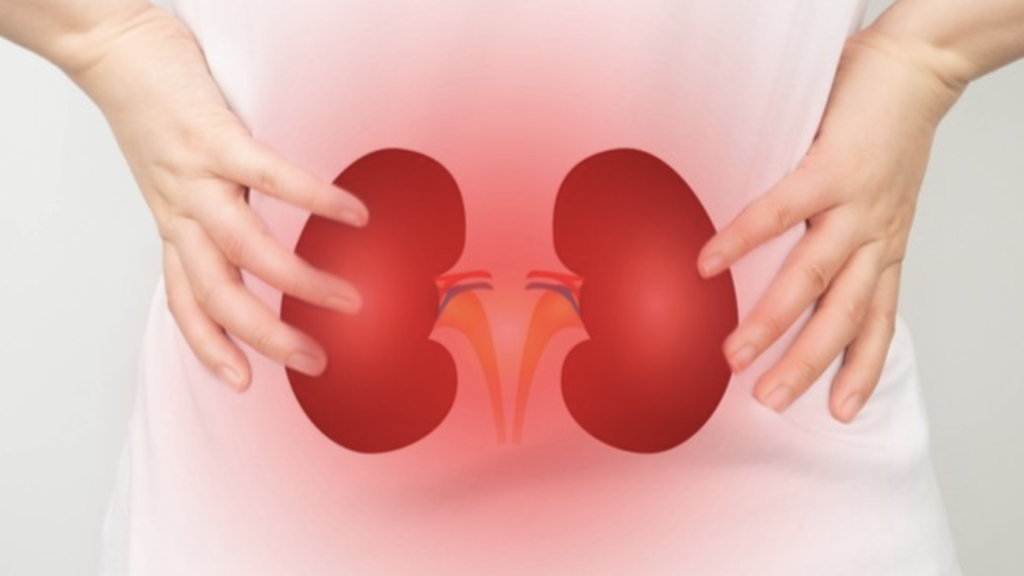 What is Kidney Failure? Chronic Kidney Disease Symptoms