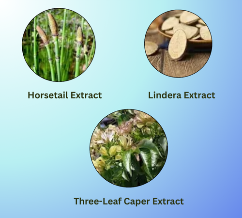 BladderGenix Ingredients