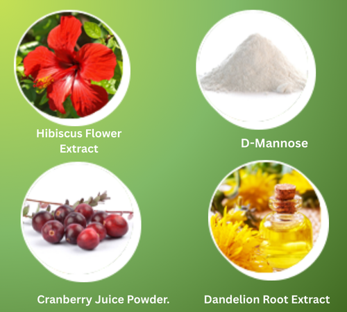 Bladdershield Ingredients
